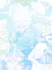 宗门弟子偏爱穿书女，我转修无情道后飞升成神了